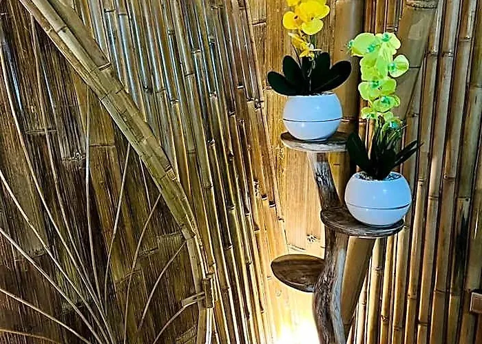 Bamboo House - Ecobreeze