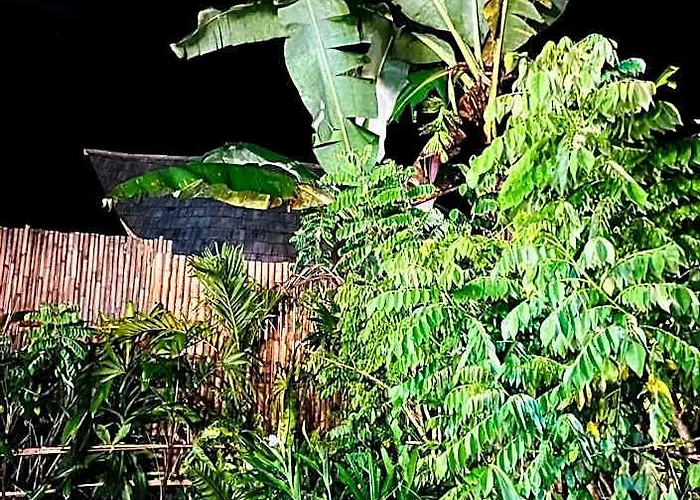 Bamboo House - Ecobreeze